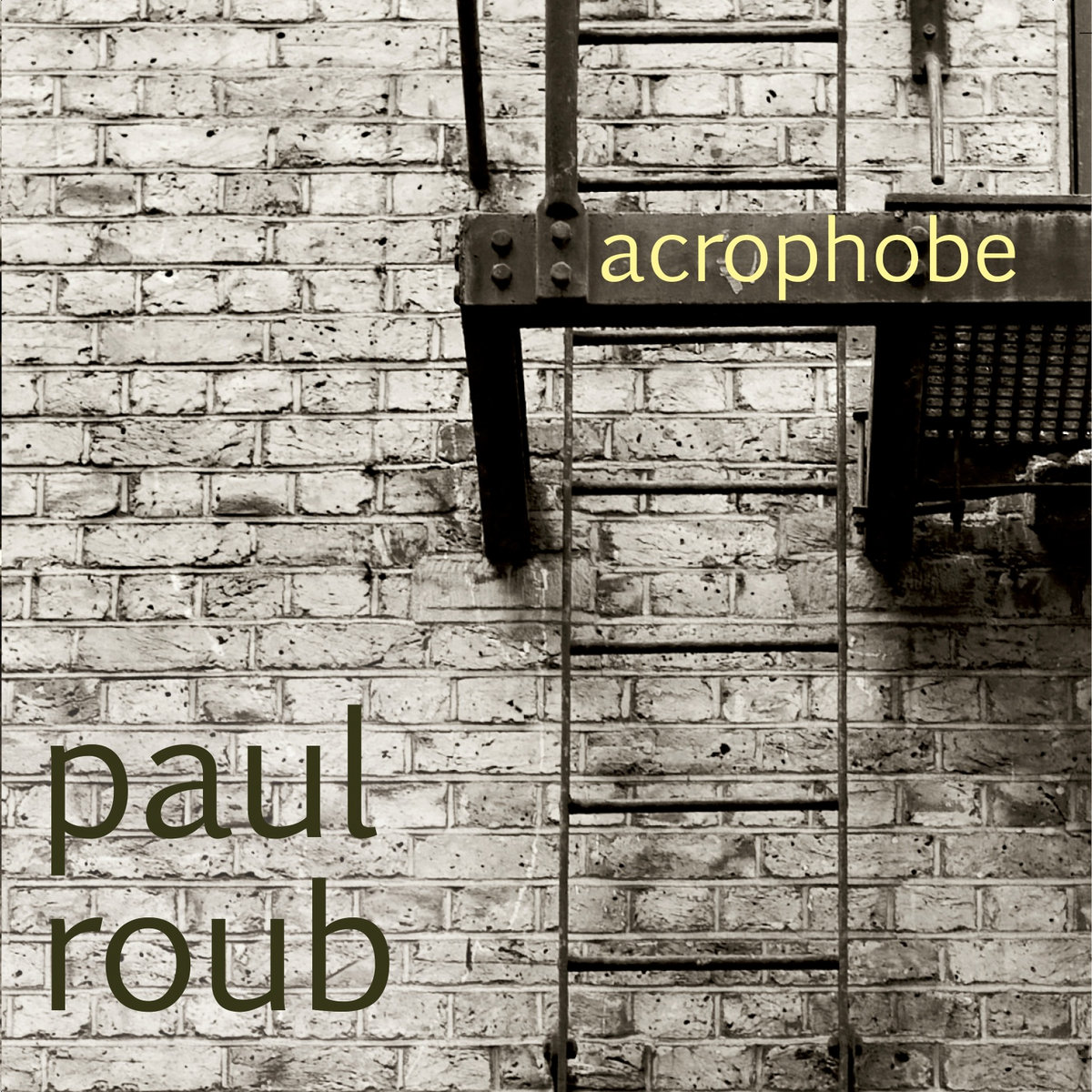 Paul Roub - Acrophobe